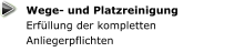 Wege- und Platzreinigung Erfüllung der kompletten Anliegerpflichten